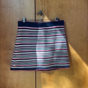 Zara Striped Knit Mini Skirt in Navy and Multicolor Bands